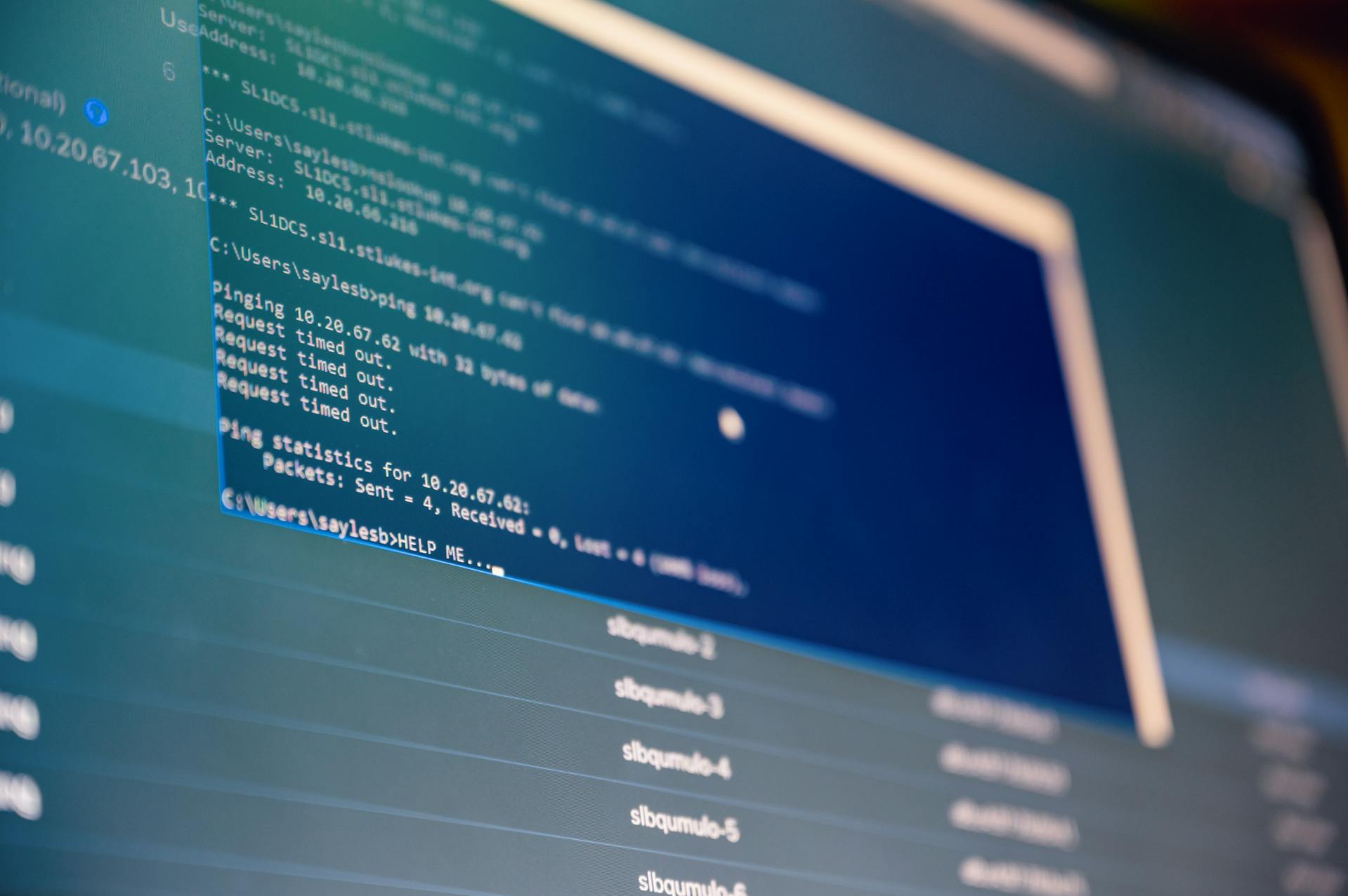 Écran de terminal affichant des commandes ping et statistiques réseau